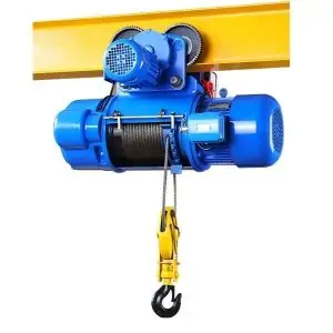 Crane hoist