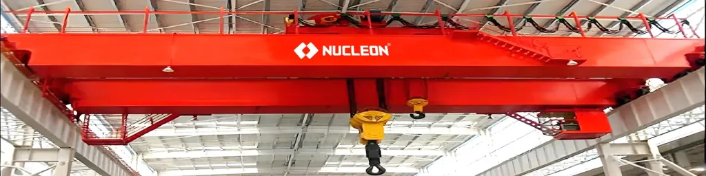 Insulated Overhead Cranes
