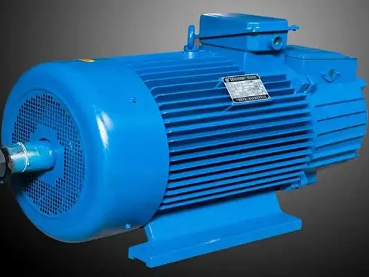 Electric hoist motor