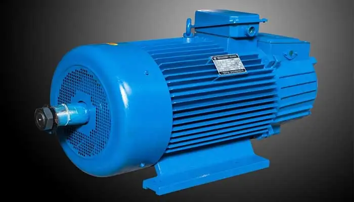 Electric hoist motor