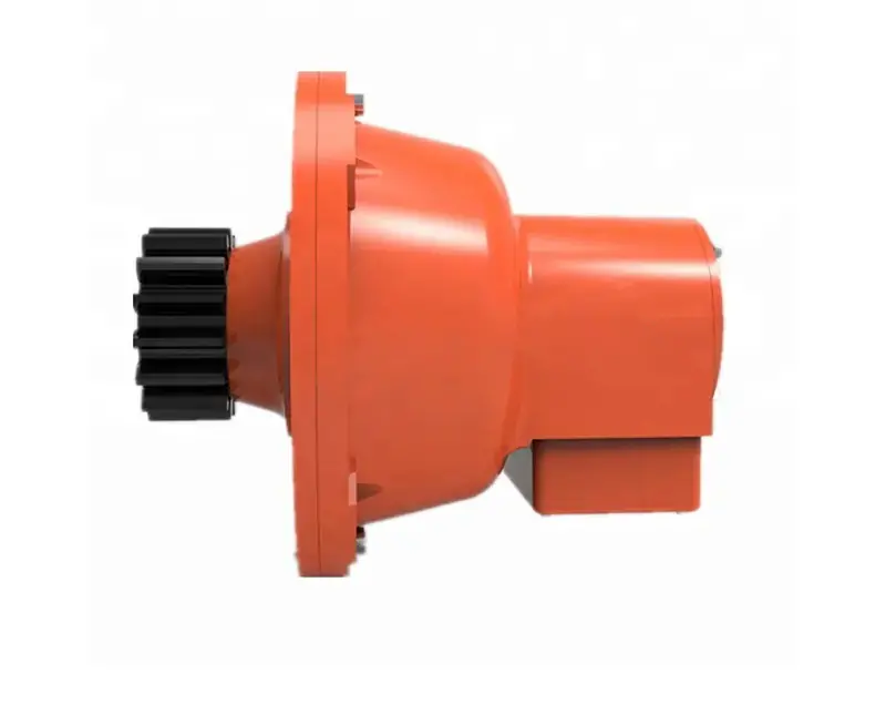 Electric hoist safety device