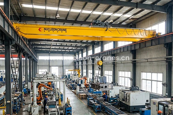 fem-standard-double-girder-overhead-crane (1)