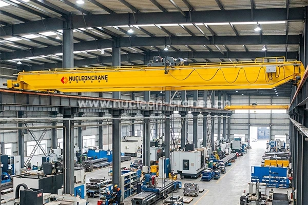 fem-standard-double-girder-overhead-crane (3)