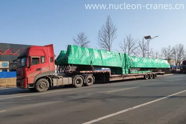 5t-single-girder-overhead-crane-exported-to-Argentina (3)