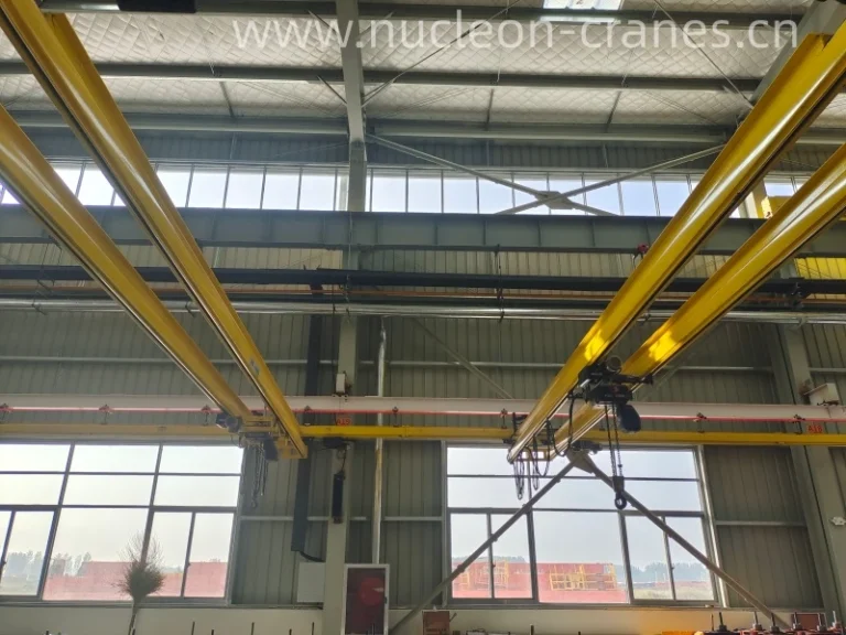 ceiling-crane (5)