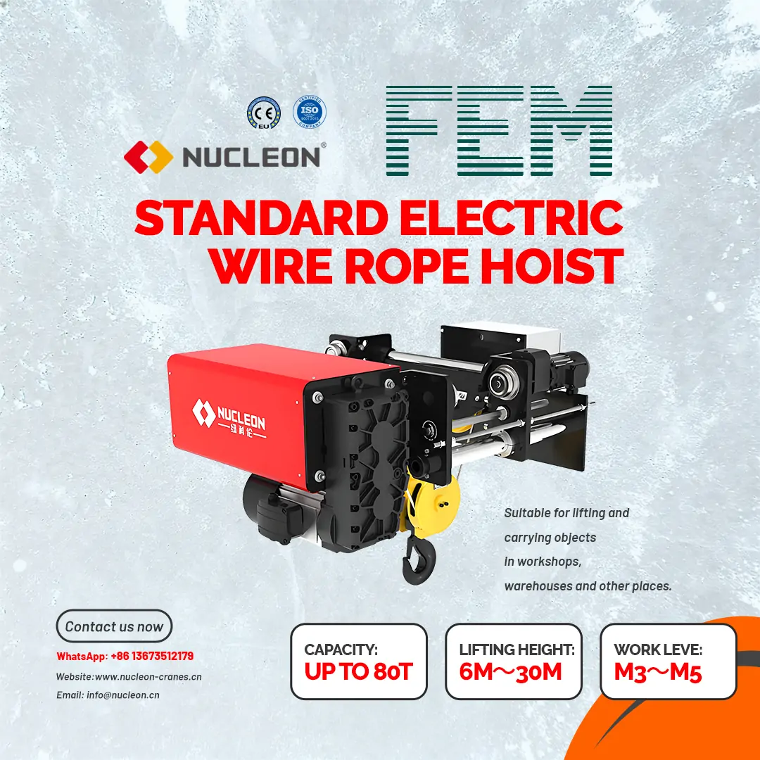 fem-standard-electric-hoist