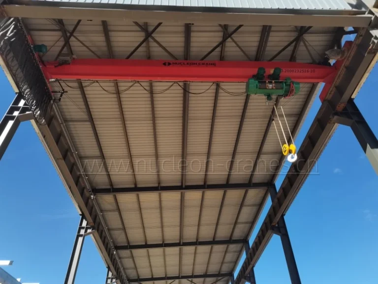 ld-single-girder-overhead-crane (4)